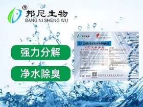 千億復(fù)合芽孢